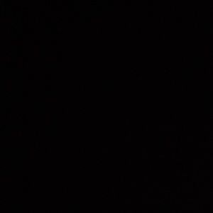 Meet your Posher, Tony